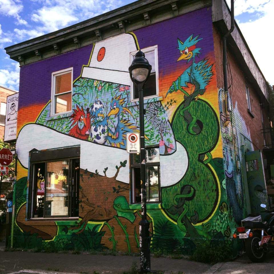 Turtlecaps Montreal .jpg